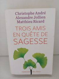 Trois amis en quête de sagesse