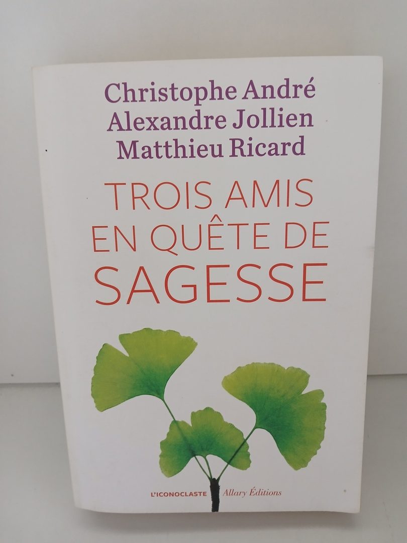 Trois amis en quête de sagesse
